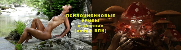 мескалин Козловка