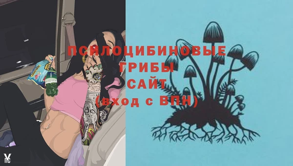 мет Кодинск