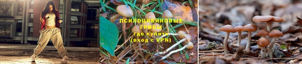 кокаин VHQ Козельск