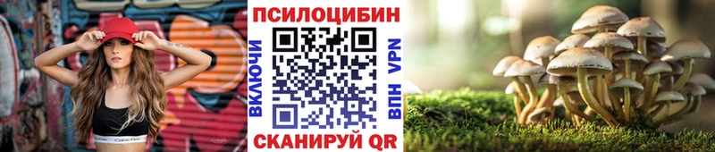 Псилоцибиновые грибы Magic Shrooms  Купить где  Красный Холм 
